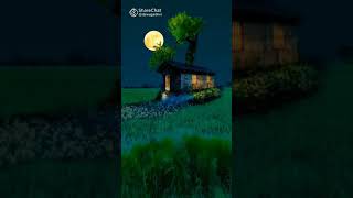 WhatsApp status  video l share chat video