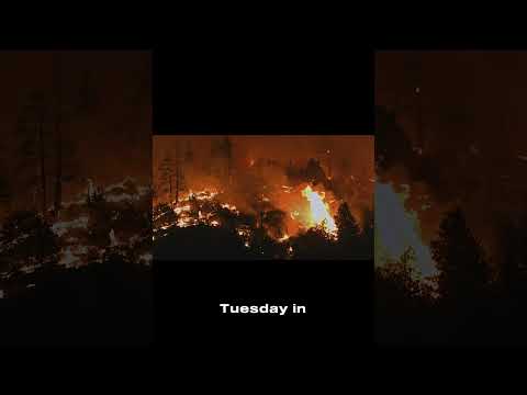 Pacific Palisades ABLAZE Thousands Evacuate as Wildfires Spread