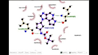 Análisis de docking con LigPLot. Instalación y primeros pasos.
