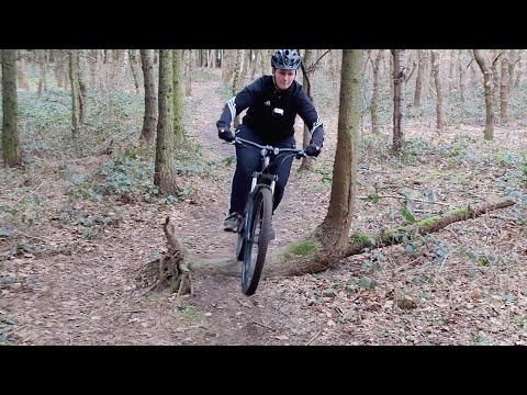 I crashed into a tree at Temple Newsam Forest
