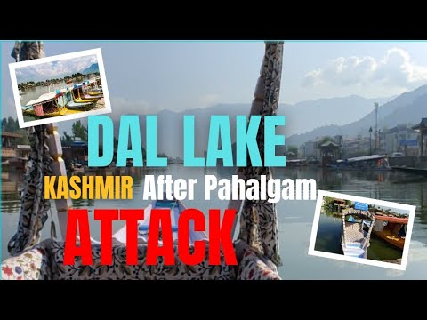 Dal Lake 2025: Silence After Pahalgam Attack | Kashmir Tourism Crisis. Is Kashmir Safe to visit now?