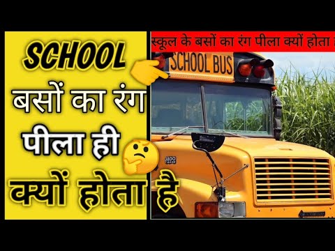 स्कूल बसों के पीला रंग होने की सबसे बड़ी वजह 😲School Bus क्यों होते है पीले रंग के ही.#short.