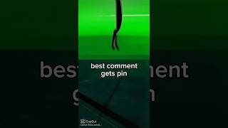 Best comment gets pin 🤩 || #commentchallenge #fypviral #fypシ #anime