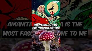 Santa Claus is a Mushroom Shaman 🎅🍄