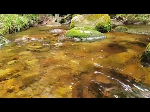 Relaxing music, water sounds, waterfall, yoga