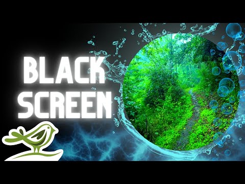 [NO ADS] Quiet Woods | Calm Flute Music, Rain Sounds & Dark Screen by Peder B. Helland