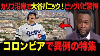 【大谷翔平】サッカー大国で大谷人気急増！デビッドオルティス驚愕　【海外の反応／MLB／野球】