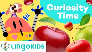 WHERE DO APPLES COME FROM? 🍏🍎  Educational Video for Kids | Lingokids