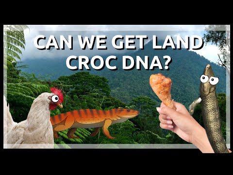 Can We Get Land Croc DNA? (Chicken Experiment) Short