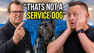 BUSTING 10 Service Dog MYTHS You Probably Still Believe!