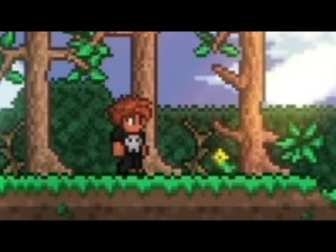 Que playadas