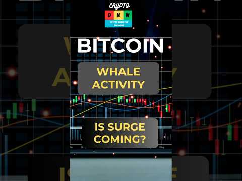 Whale Activity in Bitcoin  #cryptocurrency #trading #bitcoin #investing #altcointrading  #crypto