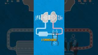 Turbocharger vs Supercharger - Which Is Best?