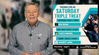 The Dogs Triple Treat - Sat 18 March 2023