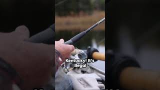 Bizarre Laws: Top 5 Strangest U.S. Laws Countdown #shorts