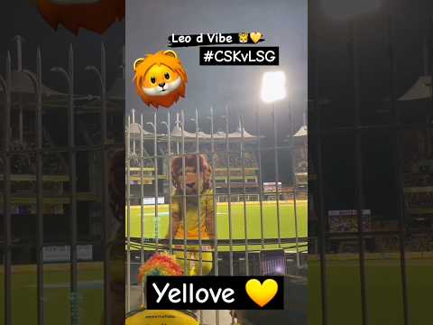 CSK Leo 🦁#yellove #csk #ipl2023 #shorts