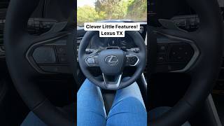 Clever Little Features! Lexus TX