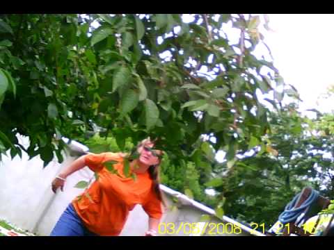 rc warplane dive bomb