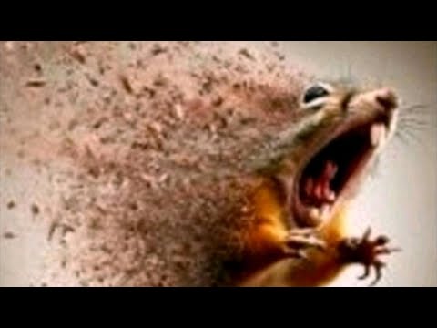 Skibidi volcanius rebirth,Episode 21,return of the strongest dinosaur