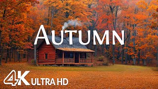 🍁Autumn in 4K UHD | Stunning Fall Colors Around the World | Scenic Relaxation Film & Relaxing Music