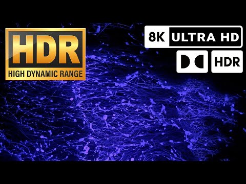 BURNING BLUE STEELWOOL // OLED DEMO VIDEO // HDR 10+ // 8k
