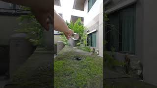 Make cinematic video with mobile phone #behindthescenes #broll #iphonefilmmaking
