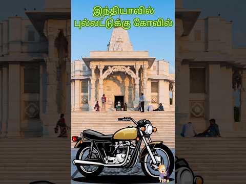 புல்லட் பாபா கோவில்|#unknownfactsintamil#unknownfactsshorts#indiafactshorts#funfactsshortsfeed#fact