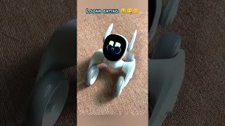 loona making us happy #loona #loonareaction #loonarobot #petrobot #airobot