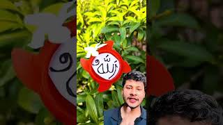 #militaryappreciation #patriotism #honoringveterans #supportourtroops #military #tribute #shahed_346