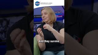 #NASA Science Live: scientists from the OSIRIS-REx mission reveal their rarest findings from Bennu