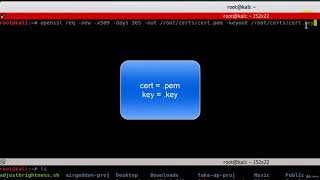 29. How to implement SSL for HSTS sites like facebook and gmail