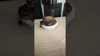 Pull me up cake   Recipe : https://youtu.be/iwzKeHlUp84 #pullmeupcake #chocolatecake #shorts