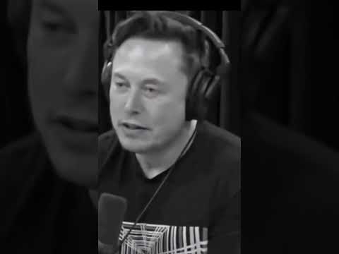 Elon musk not a fan of warren buffet #shorts