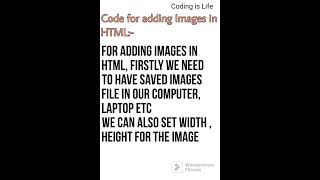 HTML Code for Adding Images 📝📝📝📝 #codingislife #codingisfun  #learnwithfun   #webdeveloper