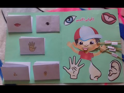 الحواس الخمس  les 5 sens