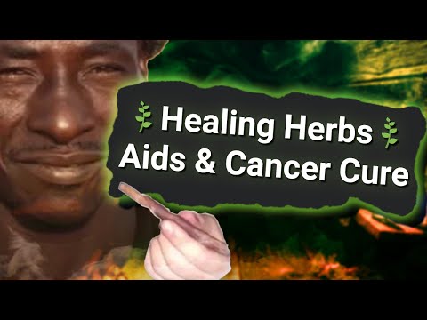 Online Witch Doctors