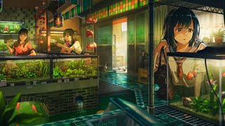Relax at the aquatic shop 🌿 The sound of running water and lofi beats ~ Lofi hip hop mix
