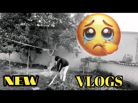 New 🥹 Viral 👍🏻 Vlogs  #minivlog  #vlog  