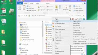 cPanel Backup Files