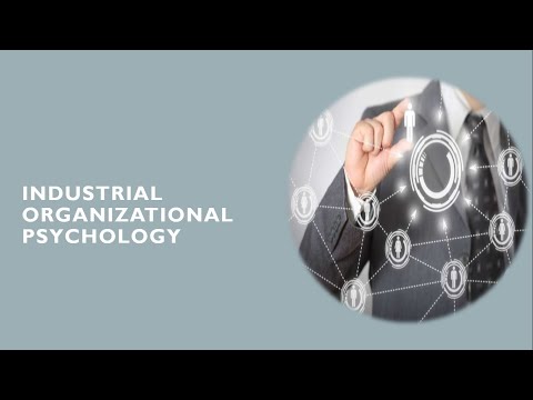 INDUSTRIAL ORGANIZATIONAL PSYCHOLOGY: EMPLOYEE SELECTION REFERENCE AND TESTING