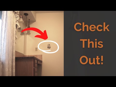 Funky finds found in a house built  in 1985!