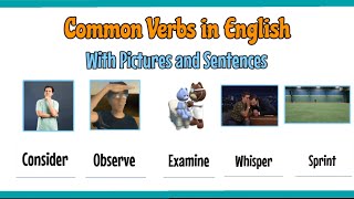 Verbs | Common Verbs in English with examples