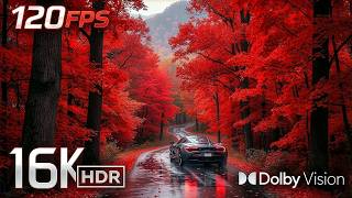 Masterpiece OLED 16K Video | 16K HDR Dolby Vision 120FPS (8K/4K Video TV)