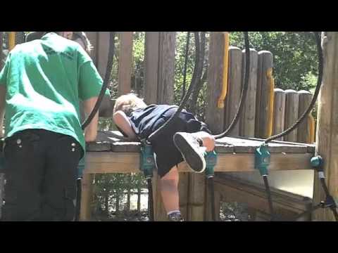 The Zoo 2010