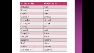Medical terminology and disorders musculoskeletal system