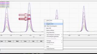 LabSolutions LC/GC Workstation Basic Data Analysis