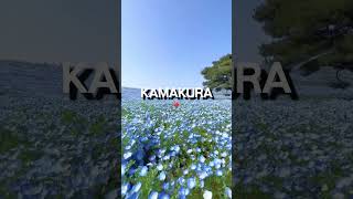 HIDDEN GEMS ON JAPAN. #travel #japan #summer #destination #viralshorts #fyp