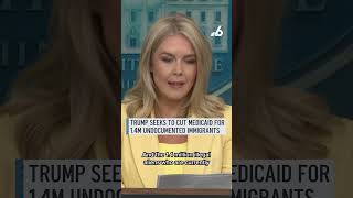 Trump seeks to cut Medicaid for 1.4M undocumented immigrants