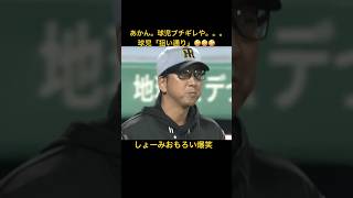 藤川球児ほんまユーモア。絶対狙い通りやん爆　#プロ野球 #阪神タイガース #乱闘 #ヤクルトスワローズ #shorts