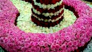Happy shivratri